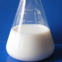 化學(xué)從業(yè)者的視角 羧基丁苯乳液的創(chuàng)新與應(yīng)用價值